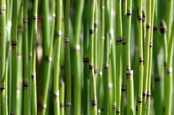 How To Achieve A Slower Pace And Step Out Of The Glorified Rat Race