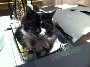 Random but clever tricks for the home