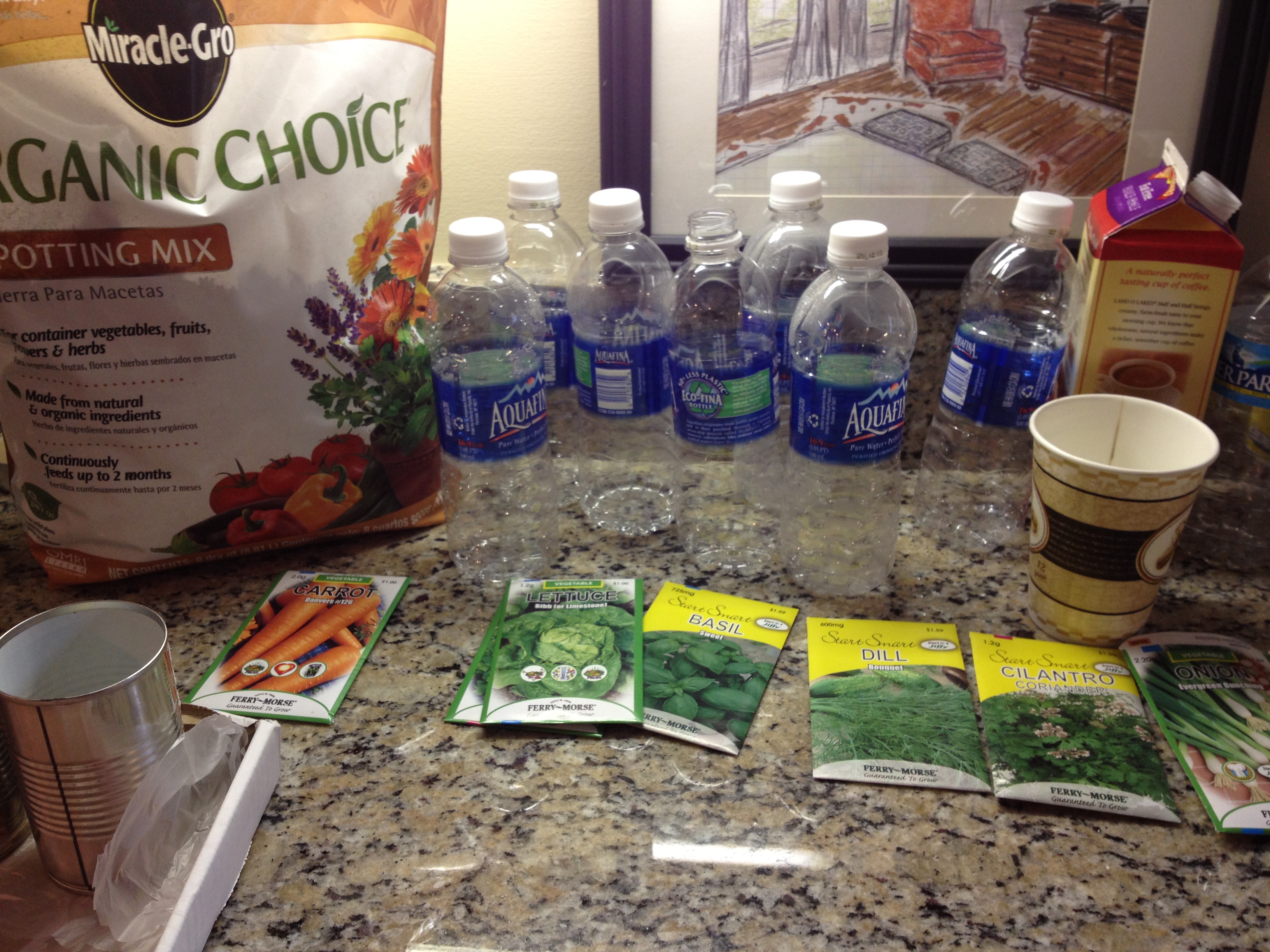 Gardening 101-Skipping the basics and going downright easy