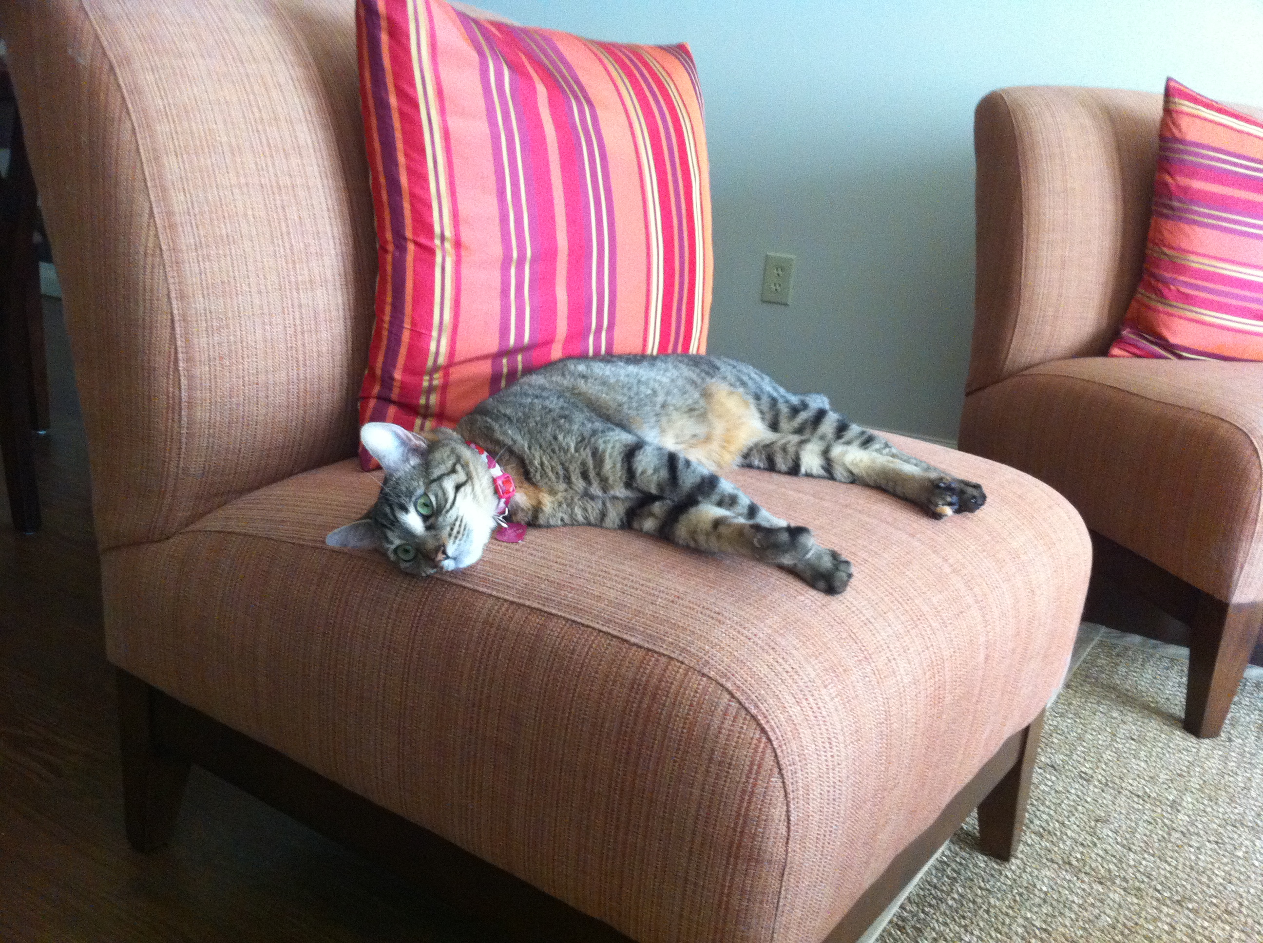 Recharging Your Batteries with Meditation