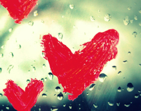 Feng Shui – Are your basic needs met?