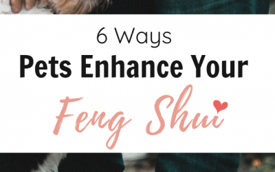 6 Ways Pets Enhance Your Feng Shui