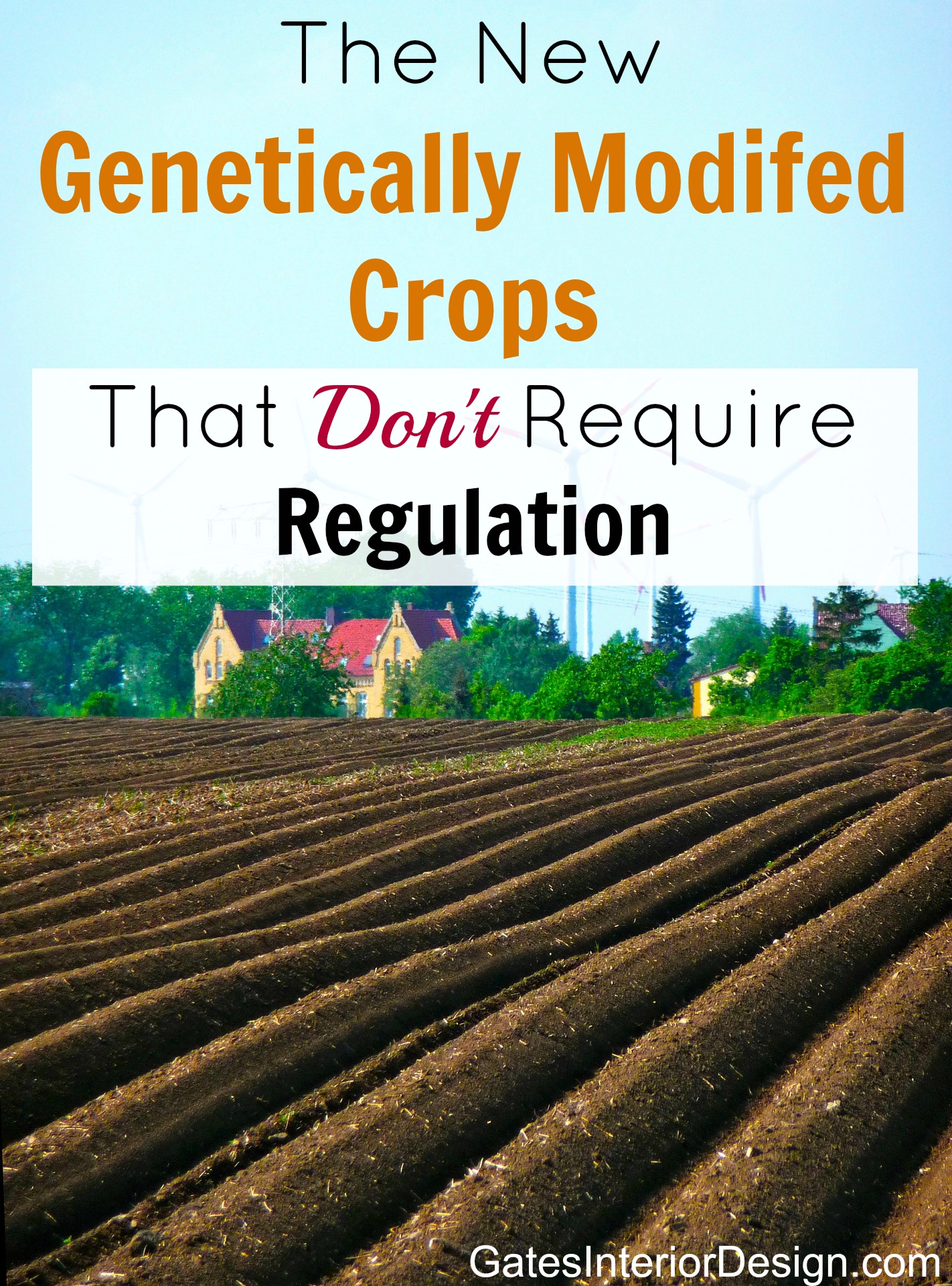 The new genetically modified crops that don’t require regulation