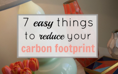 7 Easy Things To Reduce Your Carbon Footprint