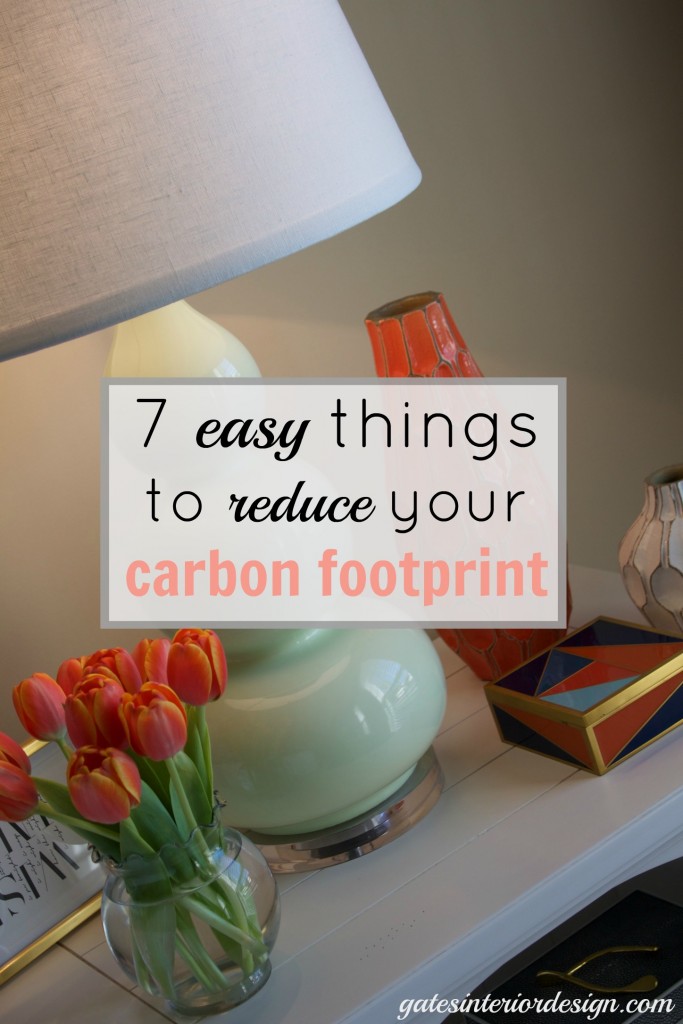 7 easy things to reduce your carbon footprint