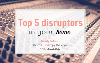 #8 The Top 5 Disruptors in Your Home