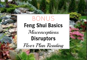 BONUS: Feng Shui Basics, Misconceptions, Disruptors and a Floor Plan reading!